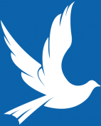 DoveIcon dove lab image
