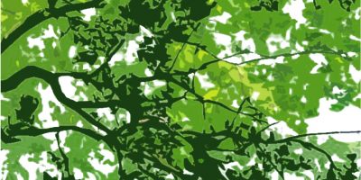 Sustainable Polymers Small